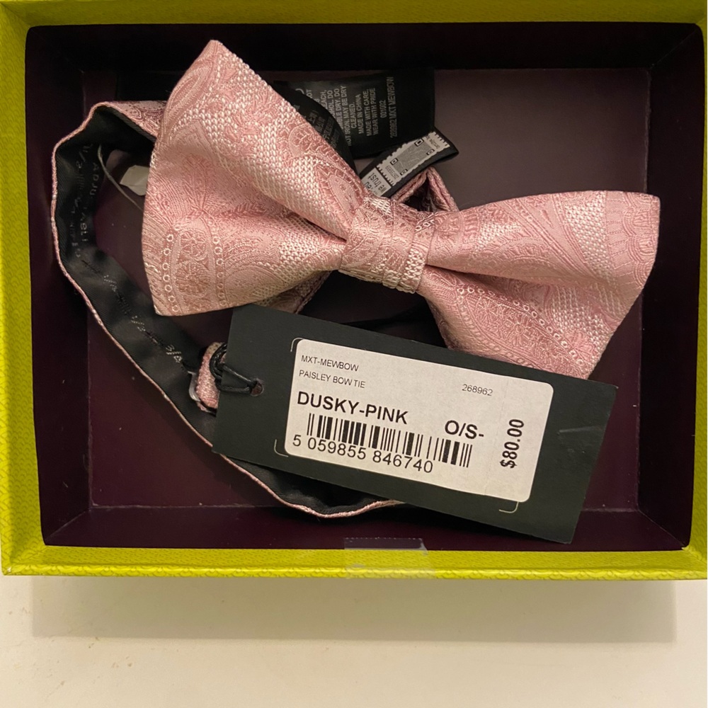 NWT Ted Baker Paisley Bow tie